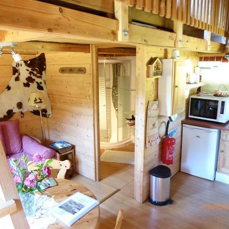 Chalet Fleur Des Neiges Saint-Jean-dʼAulps 外观 照片