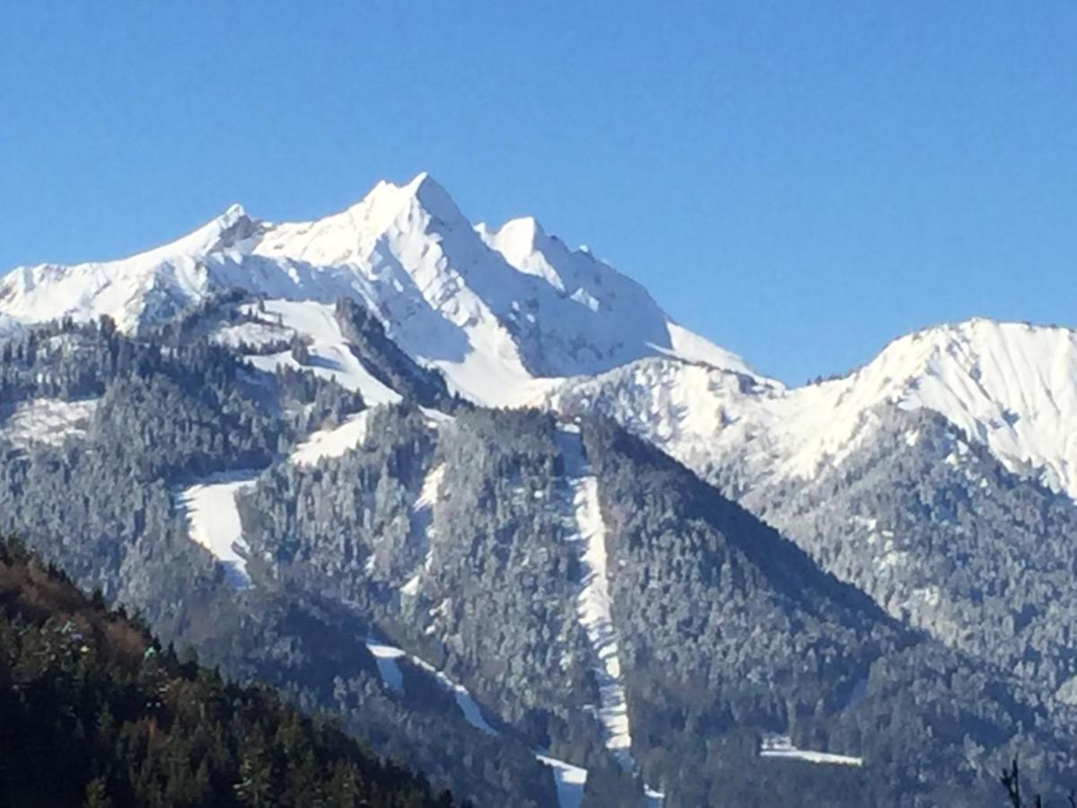 Chalet Fleur Des Neiges Saint-Jean-dʼAulps 外观 照片