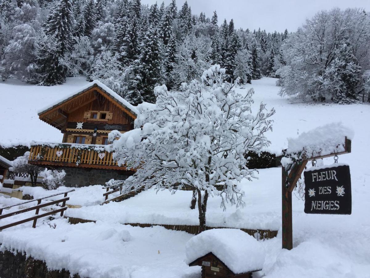 Chalet Fleur Des Neiges Saint-Jean-dʼAulps 外观 照片