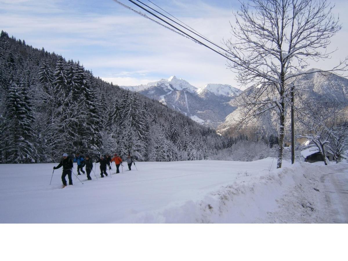 Chalet Fleur Des Neiges Saint-Jean-dʼAulps 外观 照片