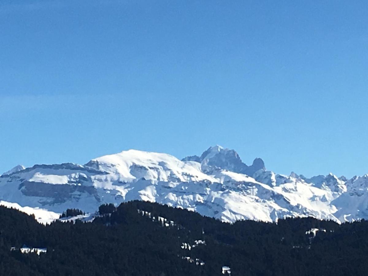 Chalet Fleur Des Neiges Saint-Jean-dʼAulps 外观 照片