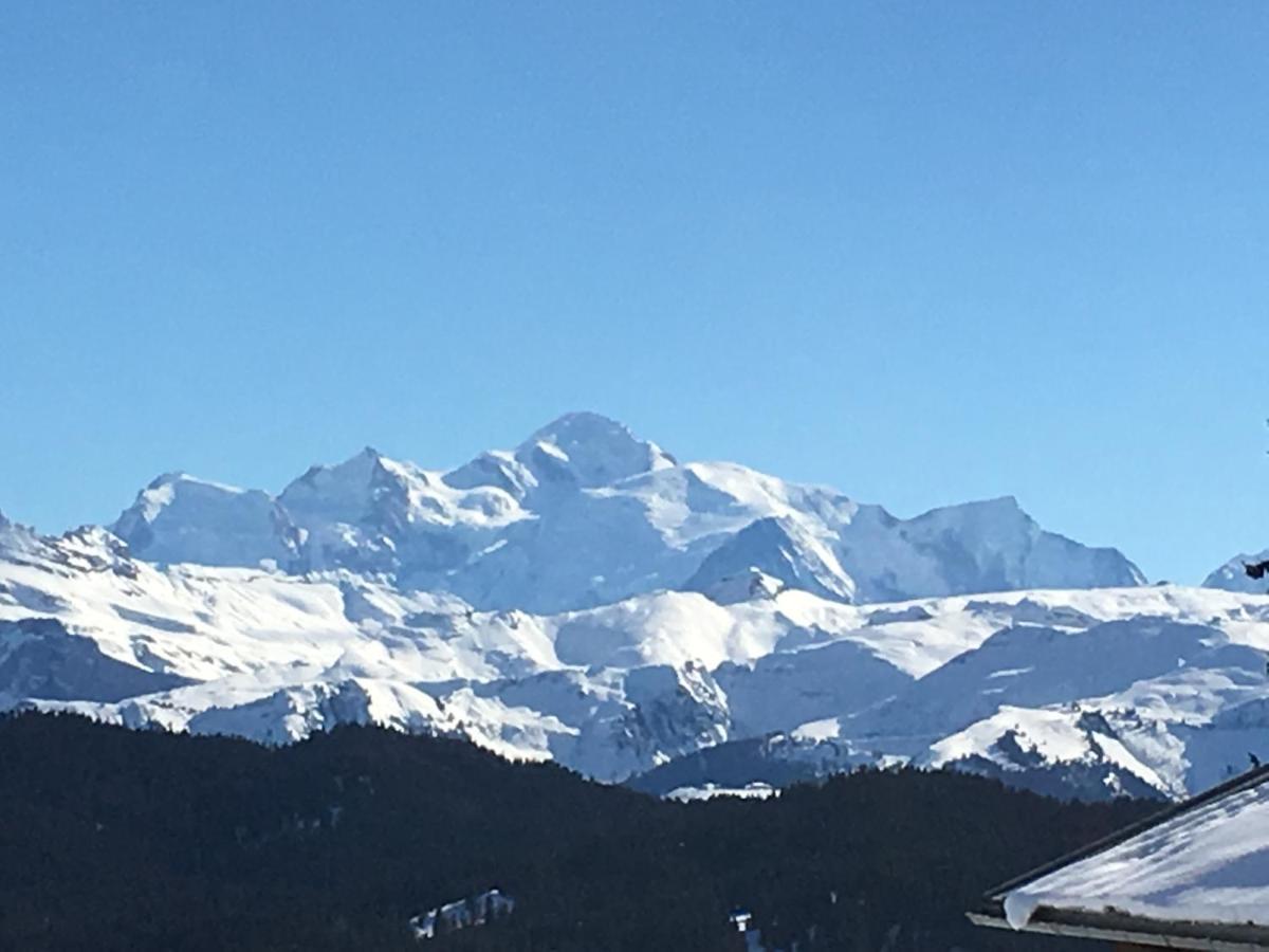 Chalet Fleur Des Neiges Saint-Jean-dʼAulps 外观 照片