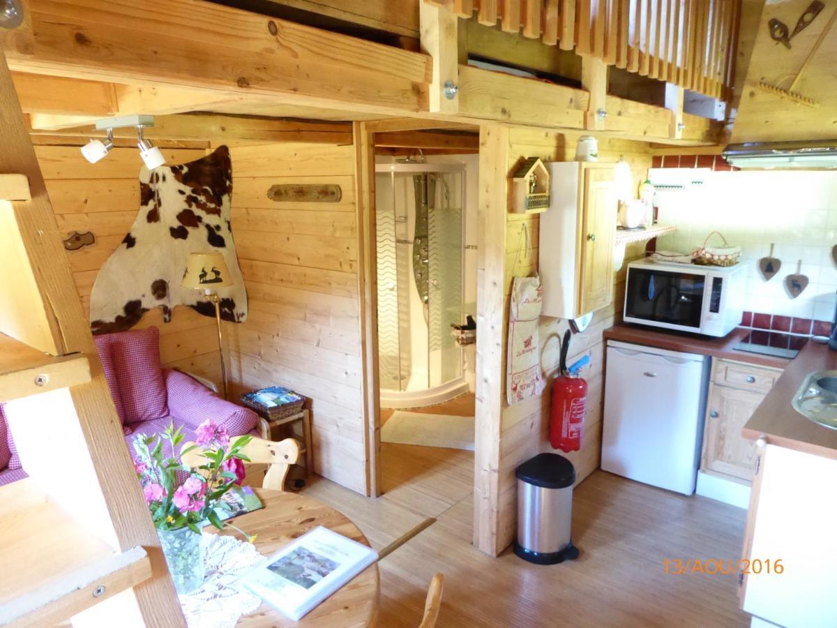 Chalet Fleur Des Neiges Saint-Jean-dʼAulps 外观 照片